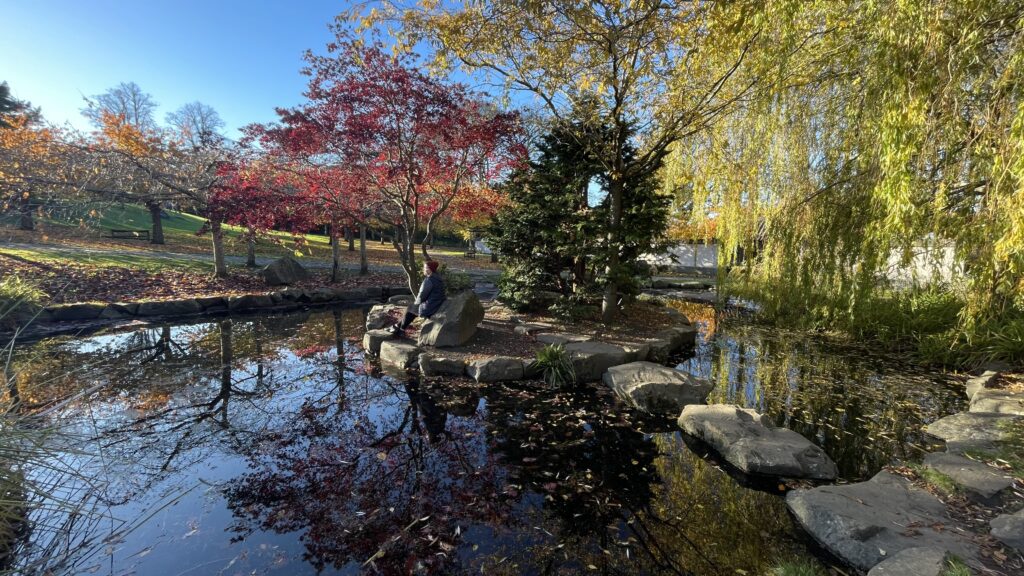 nature and mental health - person seating next to lake in the park